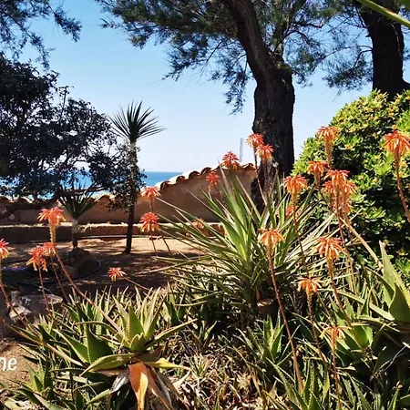 Emma's Fronte Mare Con Piscina - Apulia Torre Suda