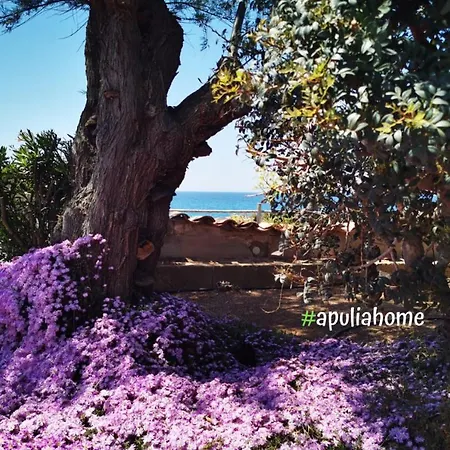 Emma's Fronte Mare Con Piscina - Apulia